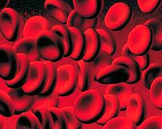 Accumulates ketone in the blood in diabetes