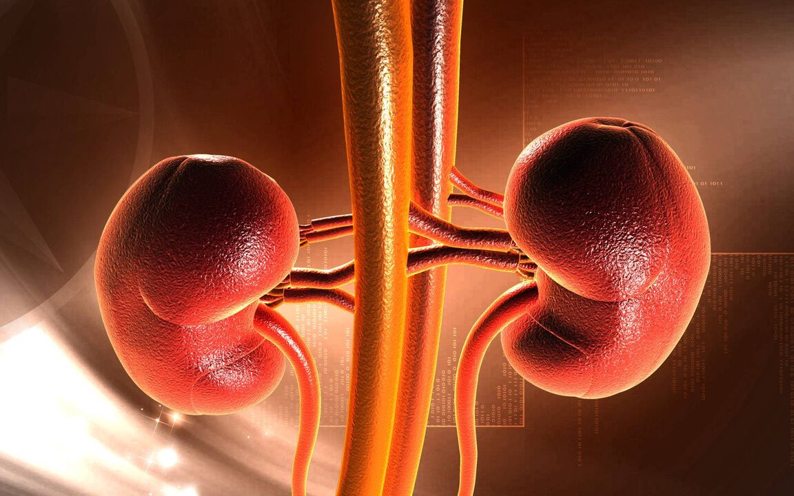 Increasing blood sugar can cause kidney failure